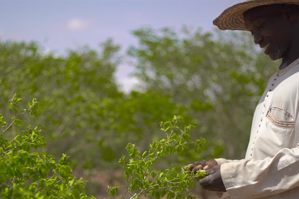 Agricultor en Níger