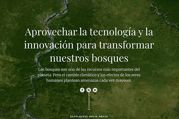 Aprovechar la tecnología y la innovación para transformar nuestros bosques