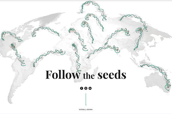 Follow the seeds