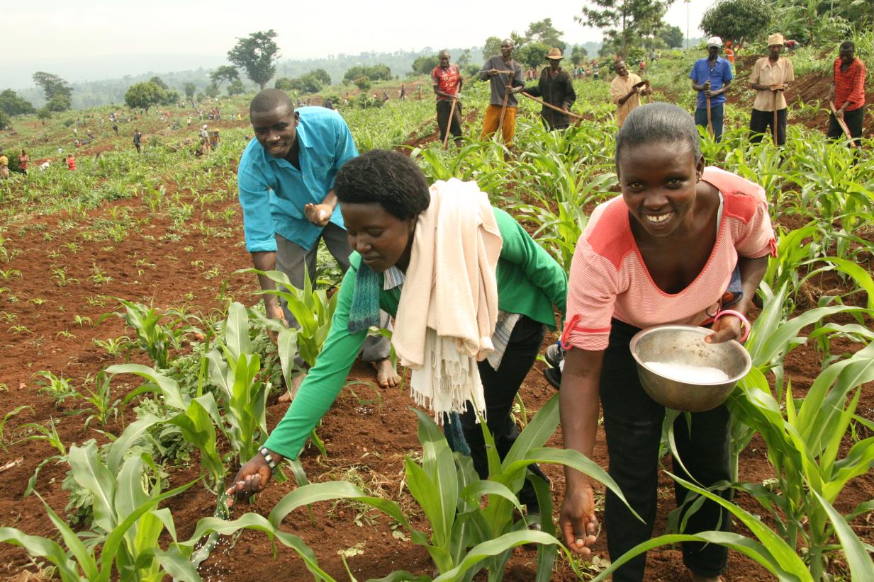 FAO Regional Office for Africa reiterates the will to partner with AfDB ...