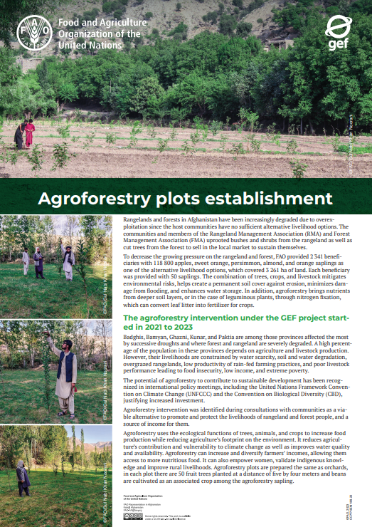 Agroforestry plot