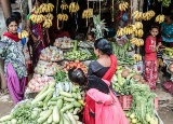 Case studies on managing quality, assuring safety and reducing post-harvest losses in fruit and vegetable supply chains in South Asian Countries
