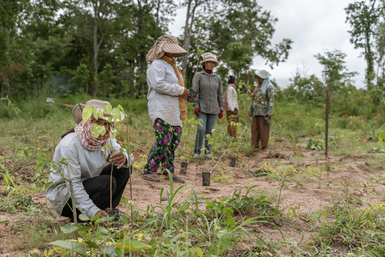 Capacity Development to Reduce Post-harvest Losses in Horticultural Chains