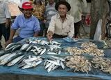 Case studies on fish loss assessment of small-scale fisheries in Indonesia