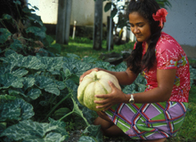 How to Determine the Potential to Increase Vegetable Yield Through Estimating and Reducing Field Losses