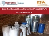 In-farm comparison trial conducted by HELVETAS-GPLP in partnership with IITA Tanzania