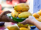Value-adding for Samoan fruit and vegetable market vendors: Waste less and sell more