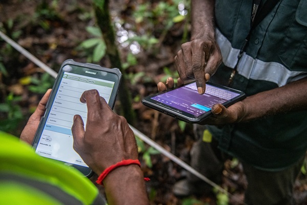 Innovar con la tradición para proteger los bosques ancestrales de Papúa Nueva Guinea con el programa AIM4Forests