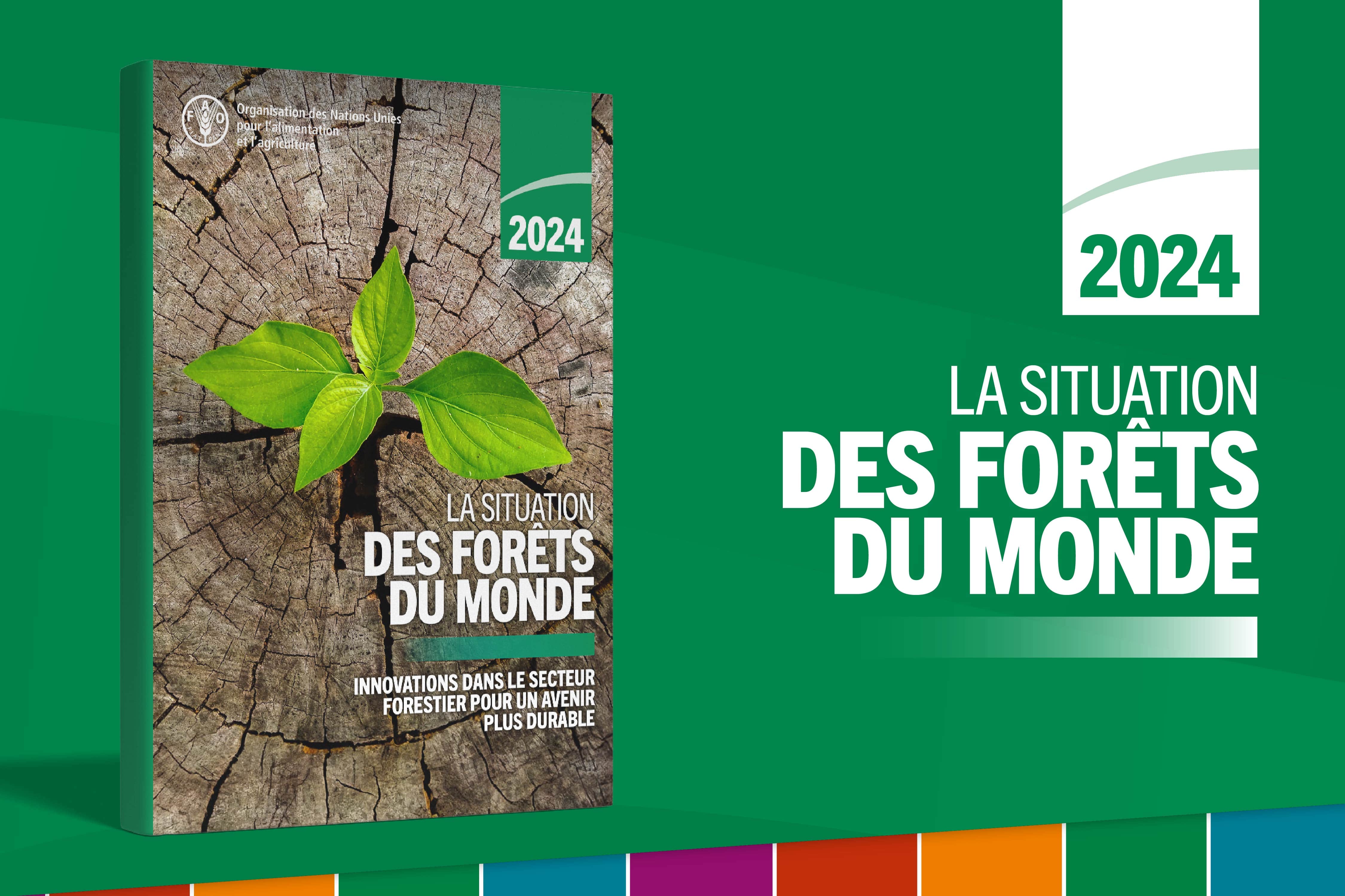 La Situation des forêts du monde 2024