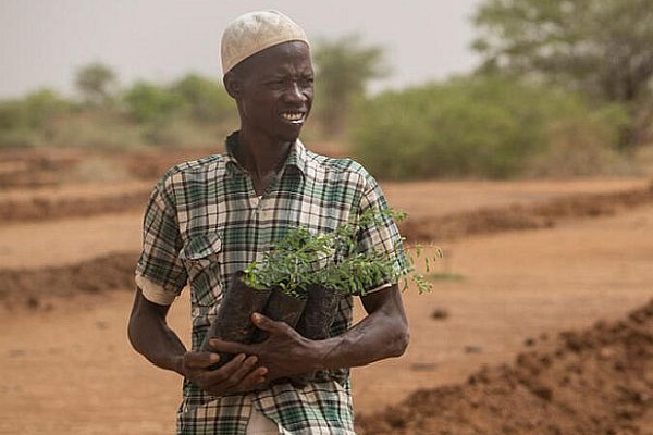 Djibo, Burkina Faso - A young man planting seedlings
