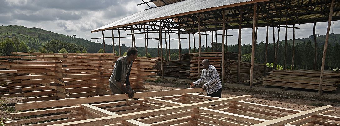 Uganda - Tree farmer Richard Bakojja