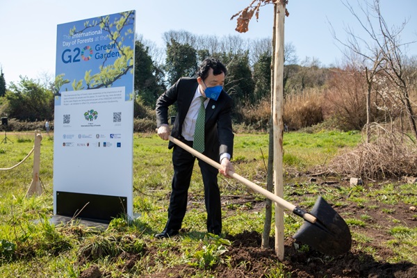 L’utilisation durable des forêts contribue à la lutte contre la crise climatique et à la réalisation des objectifs de développement durable