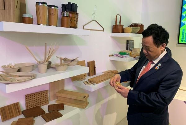 New partnership to boost bamboo and rattan’s contribution to sustainable development