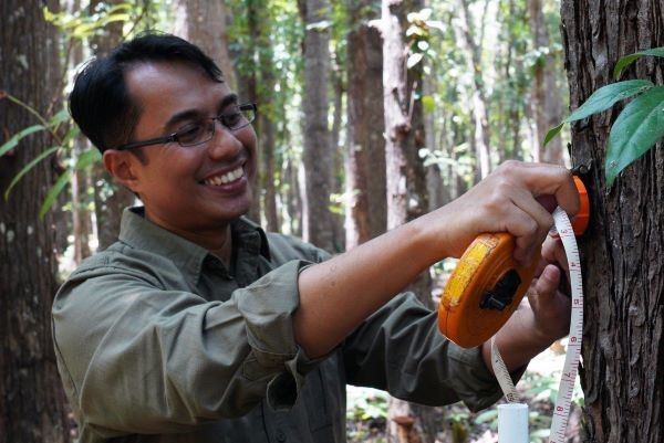 Alas Purwo National Park Banyuwangi. M. Yazid, a young forester is demonstrating measuring the tree during forest inventory  ©FAO/Harriansyah