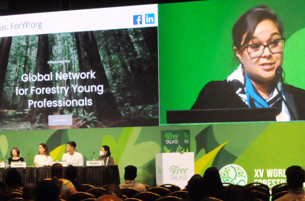 global-network-for-forestry-young-professionals---xv-wfc