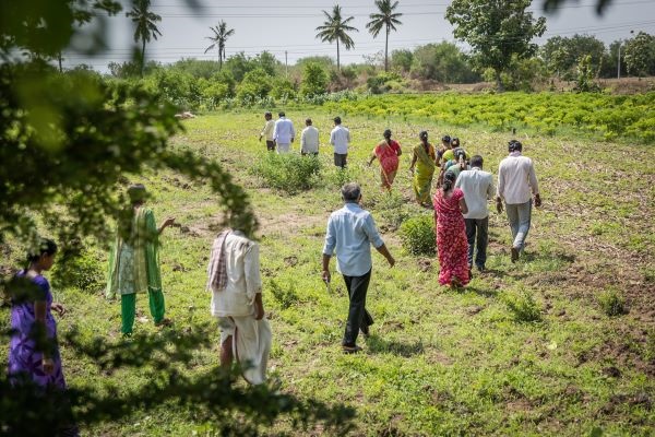 Farmer Field School programmes