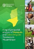 A rapid geospatial analysis of Nampula and Cabo Delgado provinces in Mozambique