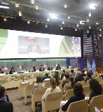 Agroforestry is a key climate solution, Director-General says at FAO Council side-event