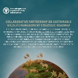 Collaborative Partnership on Sustainable Wildlife Management strategic roadmap