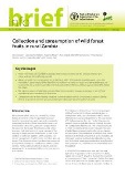 Collection and consumption of wild forest fruits in rural Zambia