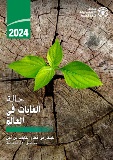 حالة الغابات في العالم 2024 الابتكار في قطاع الغابات من أجل مستقبل أكثر استدامة