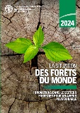 La Situation des forêts du monde 2024