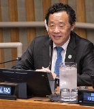 Director-General addresses High-Level Segment of 19th session of the United Nations Forum on Forests