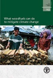 FAO Forestry Paper 162: What woodfuels can do to mitigate climate change