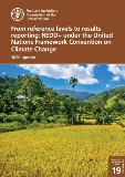 From reference levels to results reporting: REDD+ under the United Nations Framework Convention on Climate Change