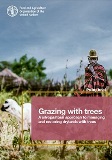 Grazing with trees Policy brief