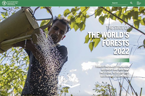 The State of the World's Forests 2022