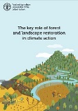 The key role of forest and landscape restoration in climate action