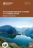 The protective functions of forests in a changing climate - European experience