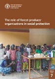 The role of forest producer organizations in social protection