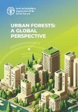 Urban forests: a global perspective