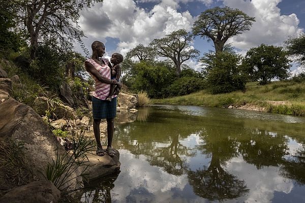 © Brent Stirton Getty Images for FAO, CIRAD, CIFOR, WCS
