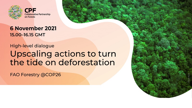 COP 26 Upscaling actions to turn the tide on deforestation