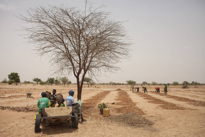 Farmers at a FAO anti-desertification project in Burkina Faso, one of 11 countries targeted by the Global Environment Fund Initiative