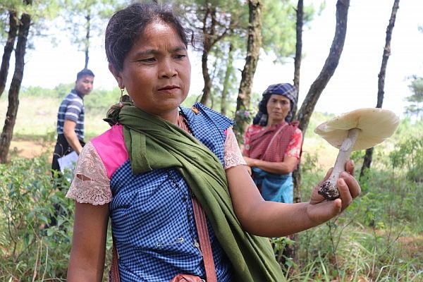 Learning from Indigenous Peoples’ food systems and their respect for nature