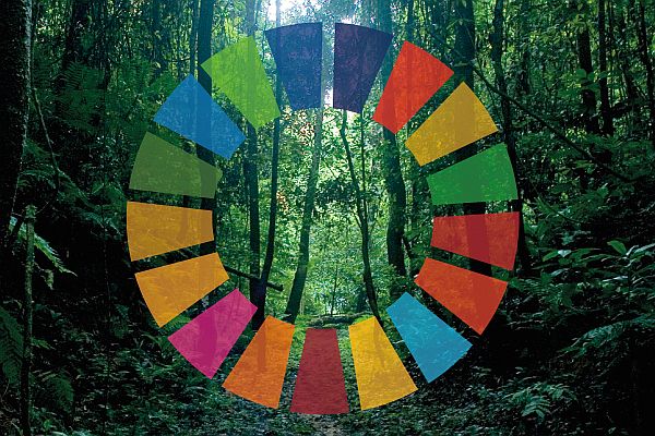 SDG wheel