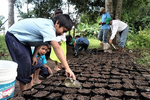 The children of the Kariña community are helping to grow seedlings that will be used for reforestation.