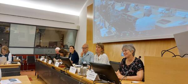 Panelists of the carbon accounting workshop, held at FAO hq and virtually.