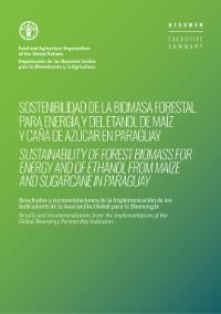 COVER_Sostenibilidad de la biomasa forestal para energía y del etanol de maíz y caña de azúcar en Paraguay