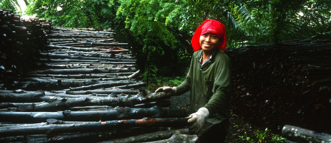 A woman unloading mangrove logs that will be used for charcoal production.