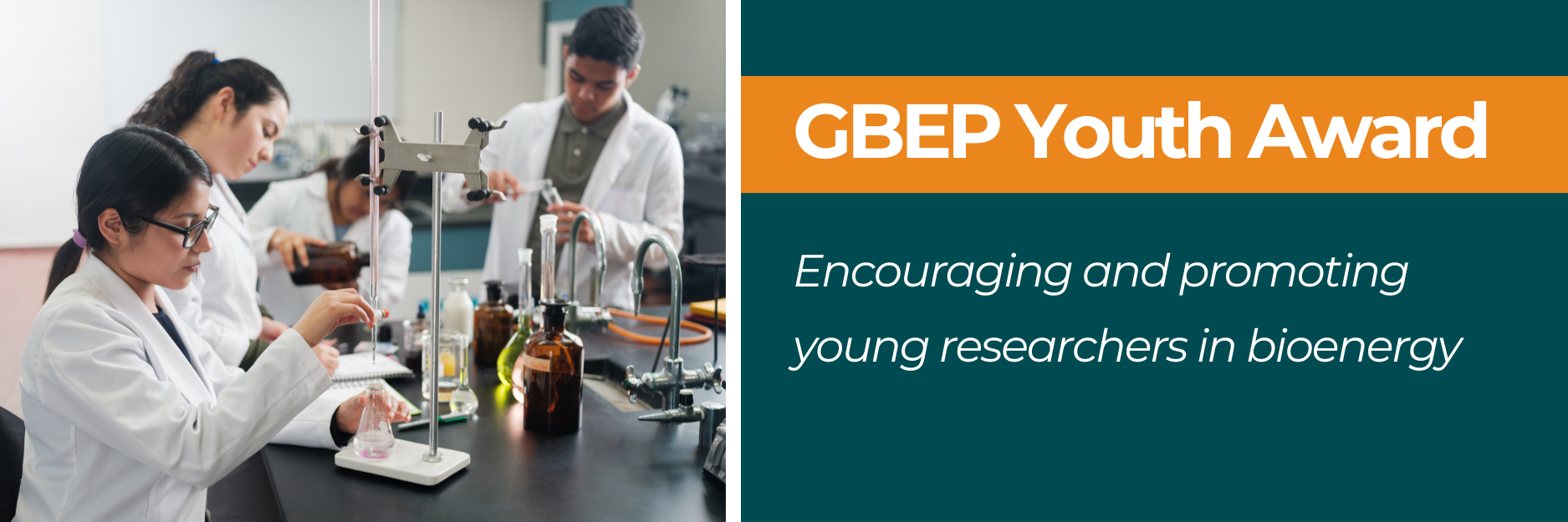GBEP Youth Award - Encouraging young researcher in bioenergy