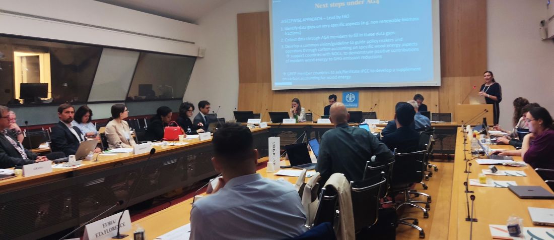 Panel at Steering Committee 2023 held at FAO headquarters.