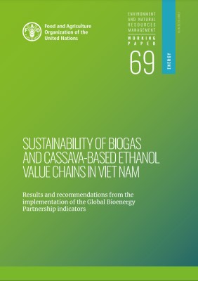 Cover page of the Viet Nam report on cassava ethanol and biogas