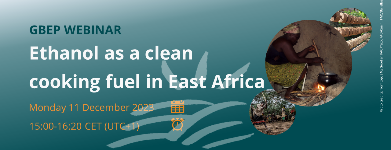 Webinar banner - ethanol clean cooking in East Africa