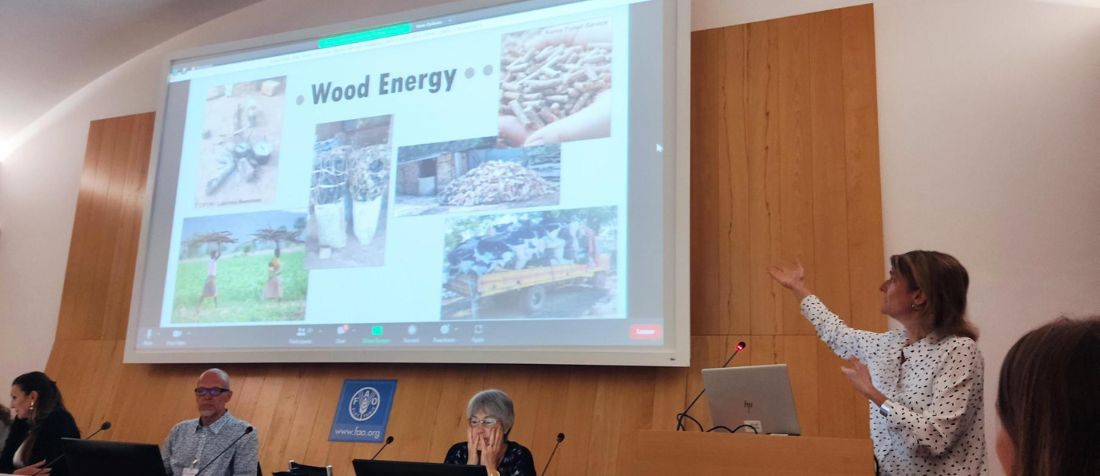 From left to right: Robert Matthews (Forest Research), Tiziana Pirelli (FAO/GBEP) Maria Michela Morese (FAO Energy), Göran Berndes (Chalmers University of Technology), Ashey Steel (FAO Forestry) and Annette Cowie (University of New England)