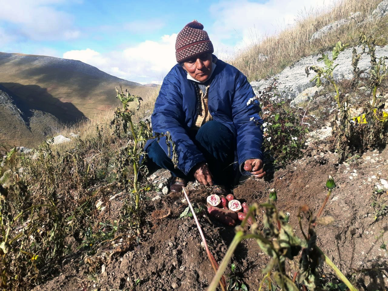 Peru